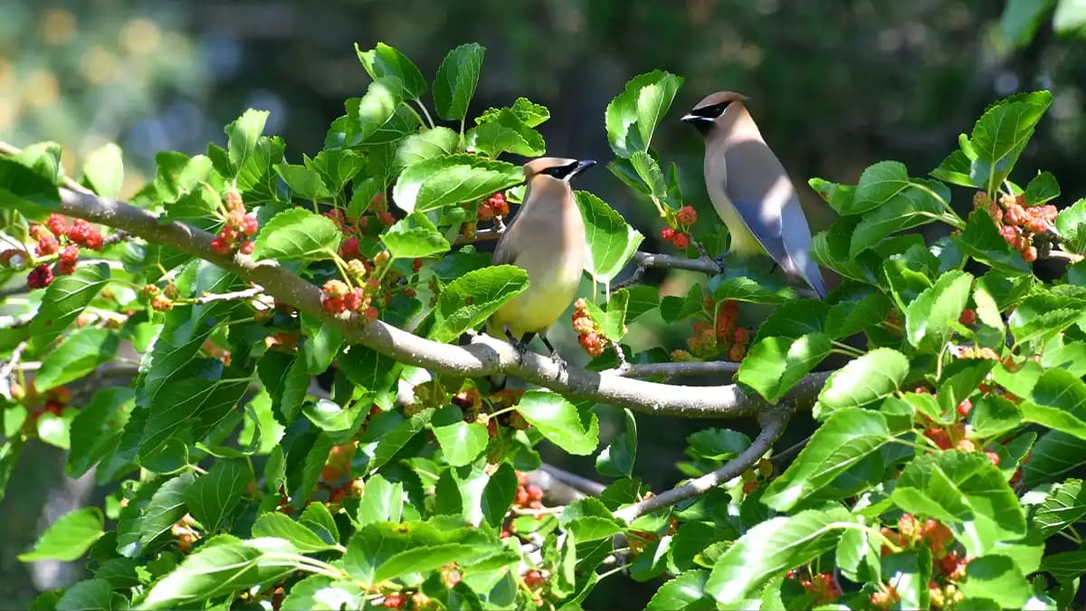 Alles vernünftige Investieren ist Value-Investing Alles vernünftige Investieren ist Value-Investing